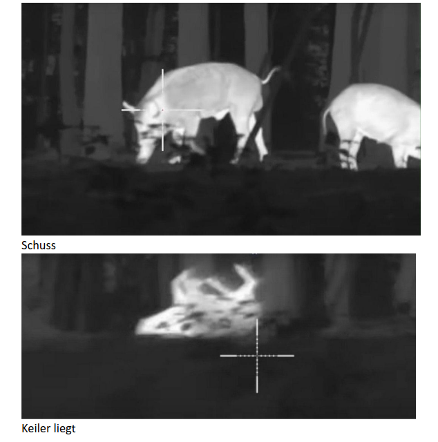 Bildschirmfoto vom 2026 01 01 22 06 32