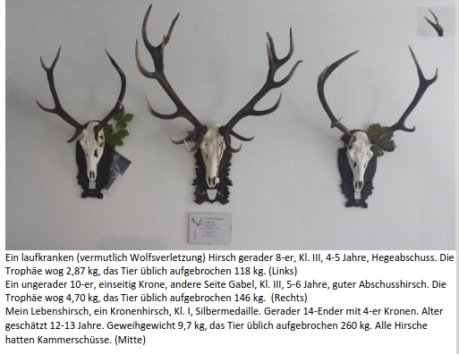 Bildschirmfoto vom 2026 08 09 11 06 17