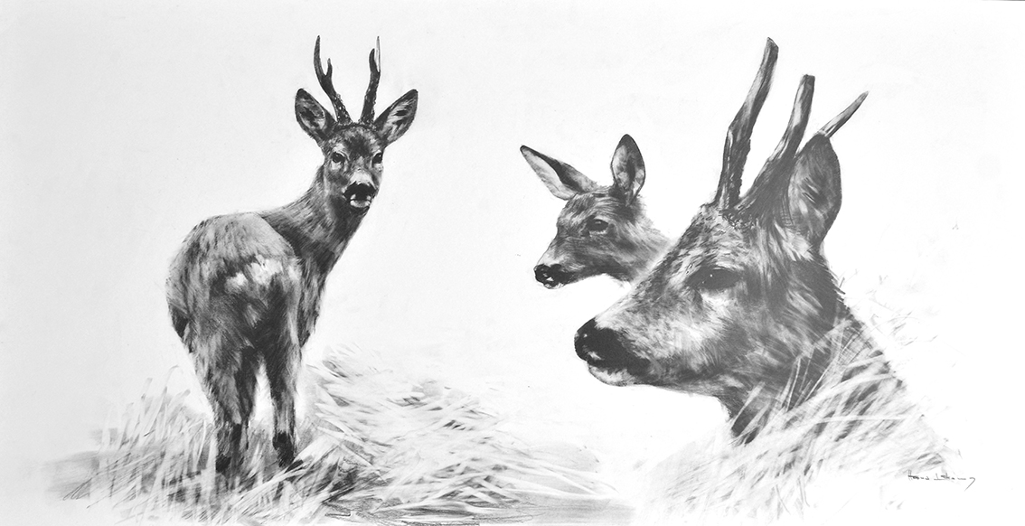 lakomy hans roebuck